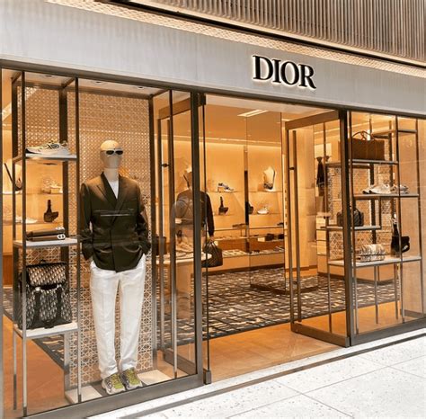 dior expensive|what does Dior mainly sell.